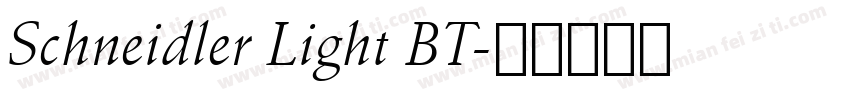 Schneidler Light BT字体转换